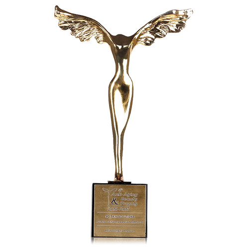Award logo